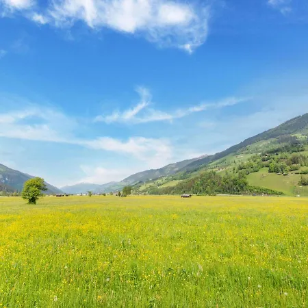 Luxurious Holiday Home With Sauna In Niedernsill Salzburgerland