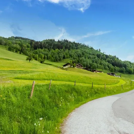Luxurious Holiday Home With Sauna In Niedernsill Salzburgerland *